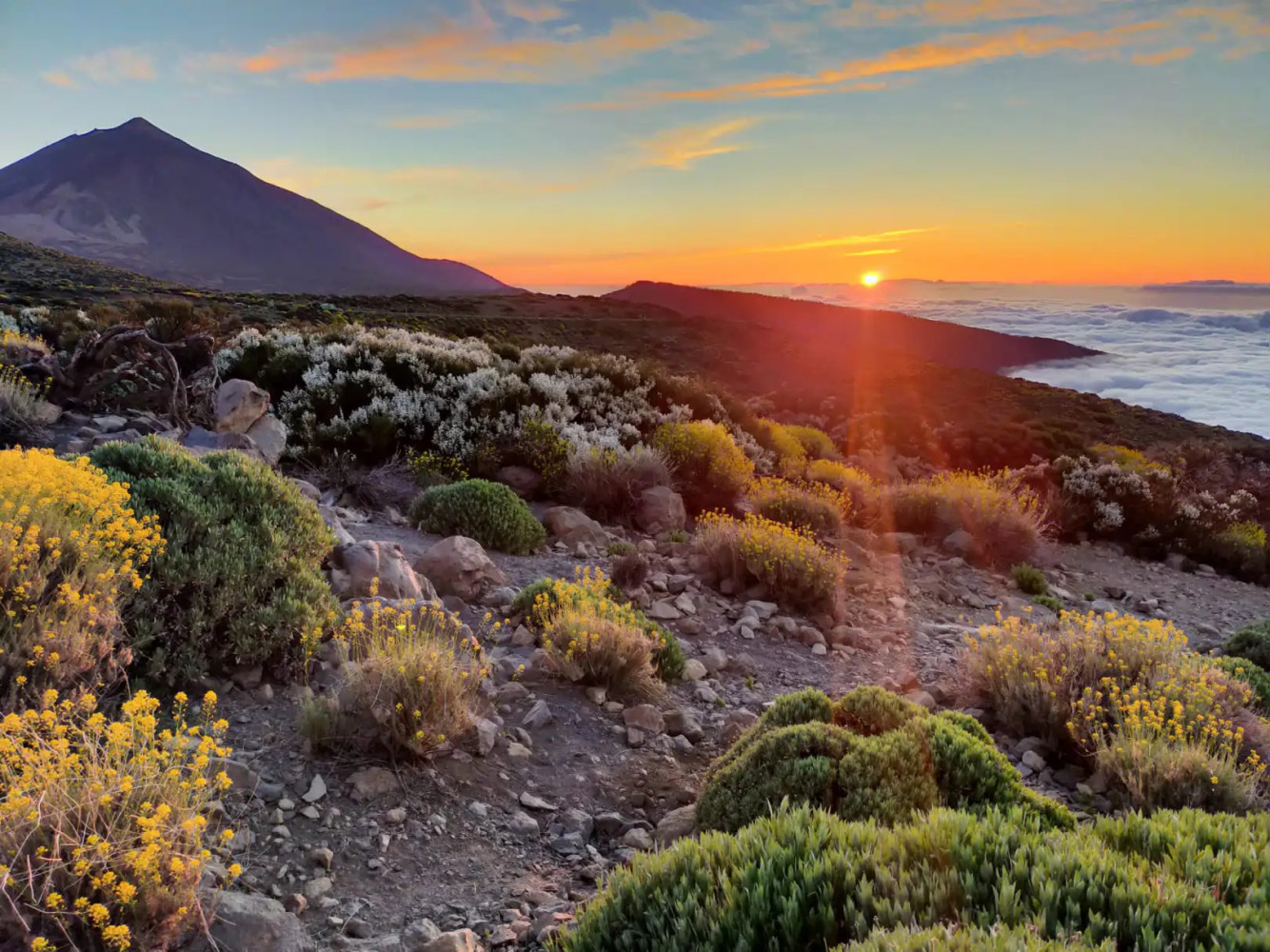 Astrophotography in Teide Astrophotography in Teide